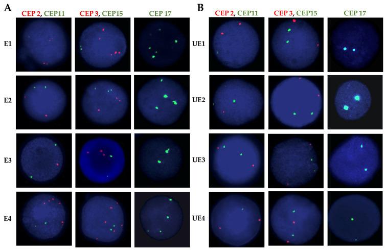 https://cdn.ncbi.nlm.nih.gov/pmc/blobs/8198/11050655/dd0ac8695009/ijms-25-04167-g002.jpg