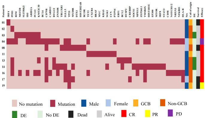 https://cdn.ncbi.nlm.nih.gov/pmc/blobs/8198/11868334/2ae546eb259a/277_2024_6066_Fig5_HTML.jpg