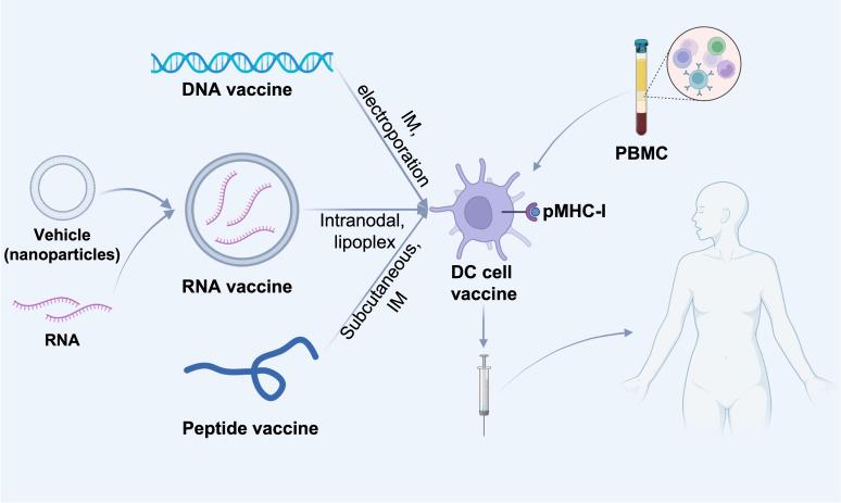 https://cdn.ncbi.nlm.nih.gov/pmc/blobs/819a/10484345/0f3577fe587f/fimmu-14-1212476-g003.jpg