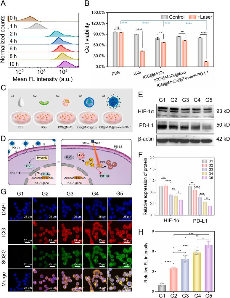 https://cdn.ncbi.nlm.nih.gov/pmc/blobs/819a/11141154/1d6f9cc2c31c/gr3.jpg