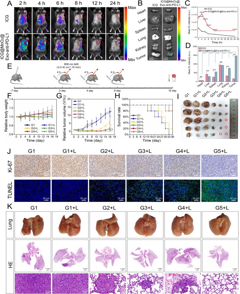 https://cdn.ncbi.nlm.nih.gov/pmc/blobs/819a/11141154/fd053920fa42/gr5.jpg