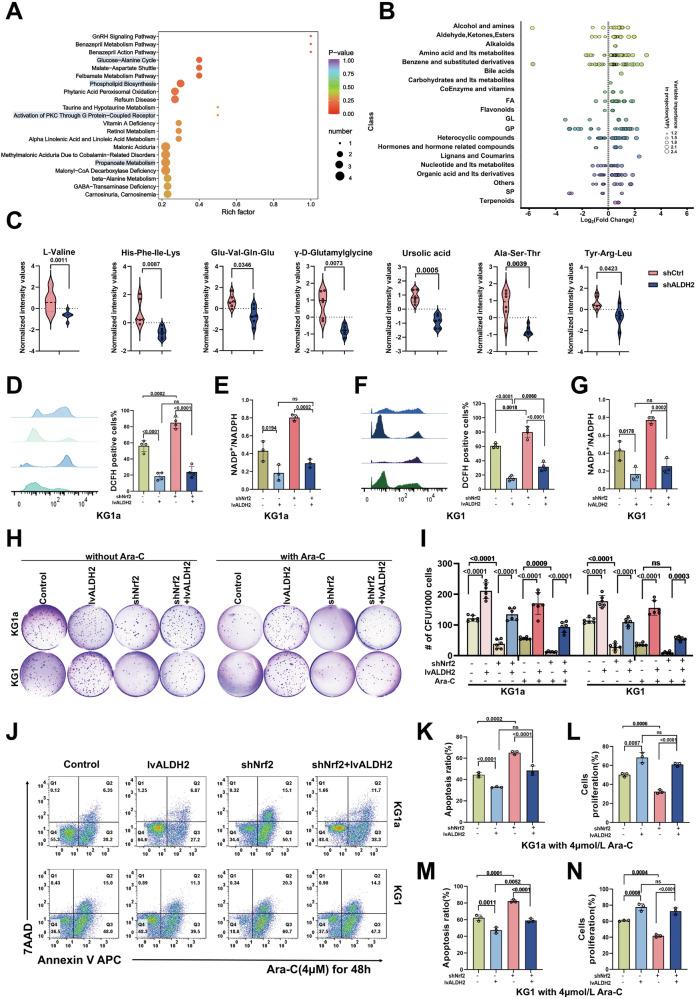 https://cdn.ncbi.nlm.nih.gov/pmc/blobs/819b/12344002/1463351a9a9e/41419_2025_7927_Fig5_HTML.jpg