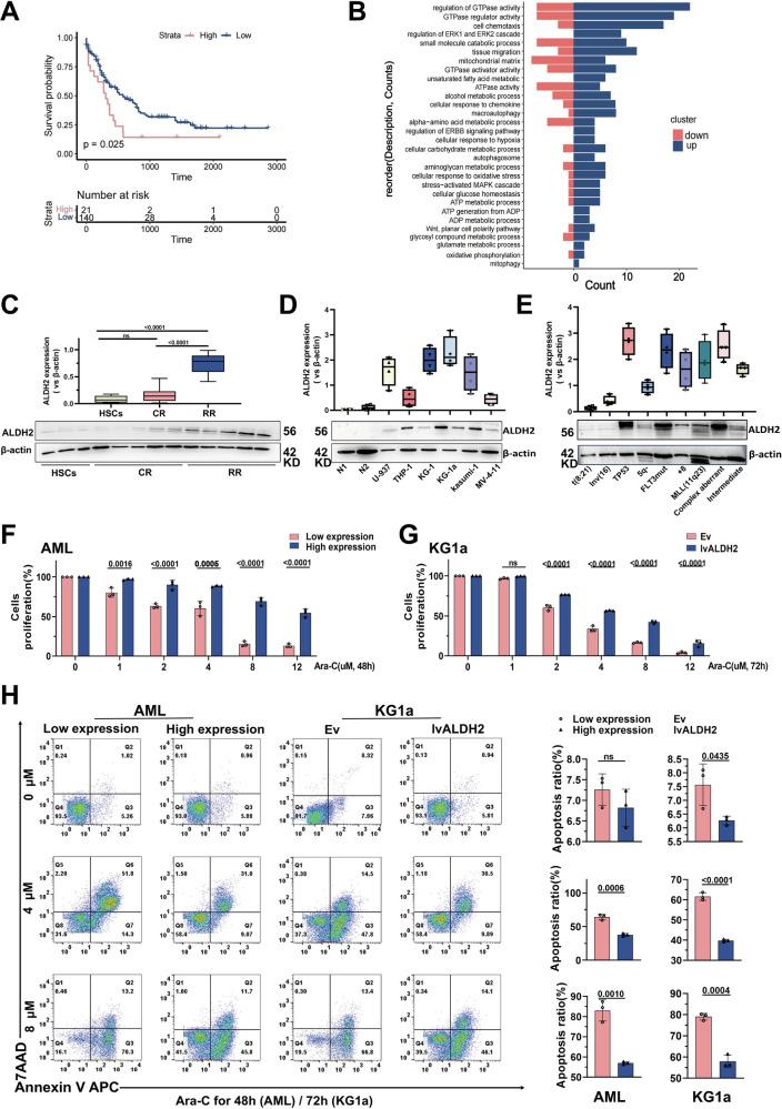 https://cdn.ncbi.nlm.nih.gov/pmc/blobs/819b/12344002/645ce3a47b43/41419_2025_7927_Fig1_HTML.jpg