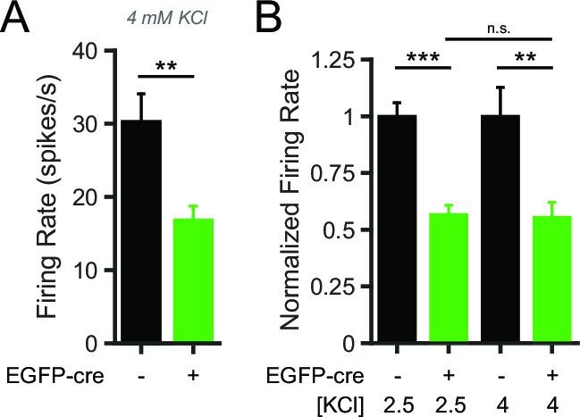 https://cdn.ncbi.nlm.nih.gov/pmc/blobs/819b/4902561/3ea03c36912d/elife-15271-fig6-figsupp1.jpg