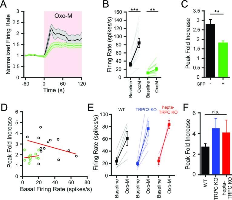 https://cdn.ncbi.nlm.nih.gov/pmc/blobs/819b/4902561/4413f48cc2fc/elife-15271-fig7.jpg