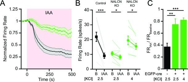 https://cdn.ncbi.nlm.nih.gov/pmc/blobs/819b/4902561/45f82857878b/elife-15271-fig6.jpg