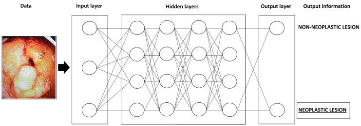 https://cdn.ncbi.nlm.nih.gov/pmc/blobs/819c/10528171/e974802cae3a/diagnostics-13-02862-g001.jpg