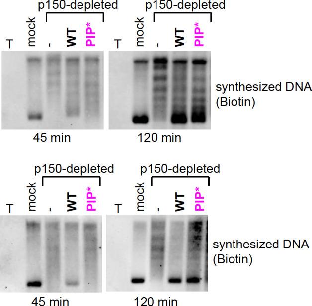 https://cdn.ncbi.nlm.nih.gov/pmc/blobs/819e/10942606/126e7856a20a/elife-91461-sa4-fig2.jpg
