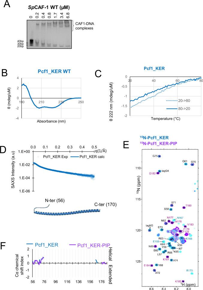https://cdn.ncbi.nlm.nih.gov/pmc/blobs/819e/10942606/1e65d7035e27/elife-91461-fig3-figsupp1.jpg