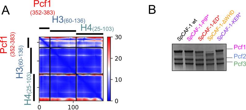 https://cdn.ncbi.nlm.nih.gov/pmc/blobs/819e/10942606/2ff5b4f89132/elife-91461-fig2-figsupp2.jpg