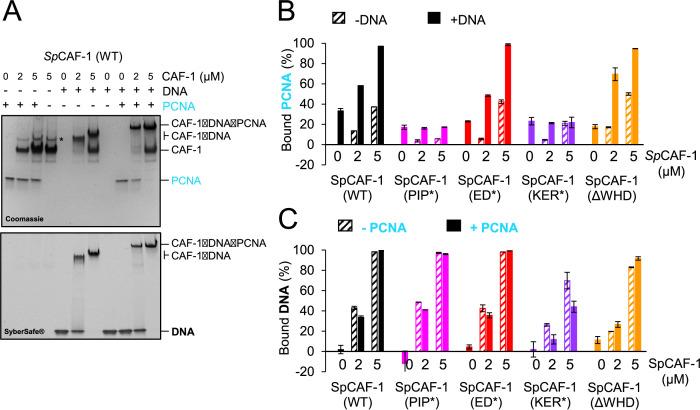 https://cdn.ncbi.nlm.nih.gov/pmc/blobs/819e/10942606/7796bbf781e5/elife-91461-fig4.jpg