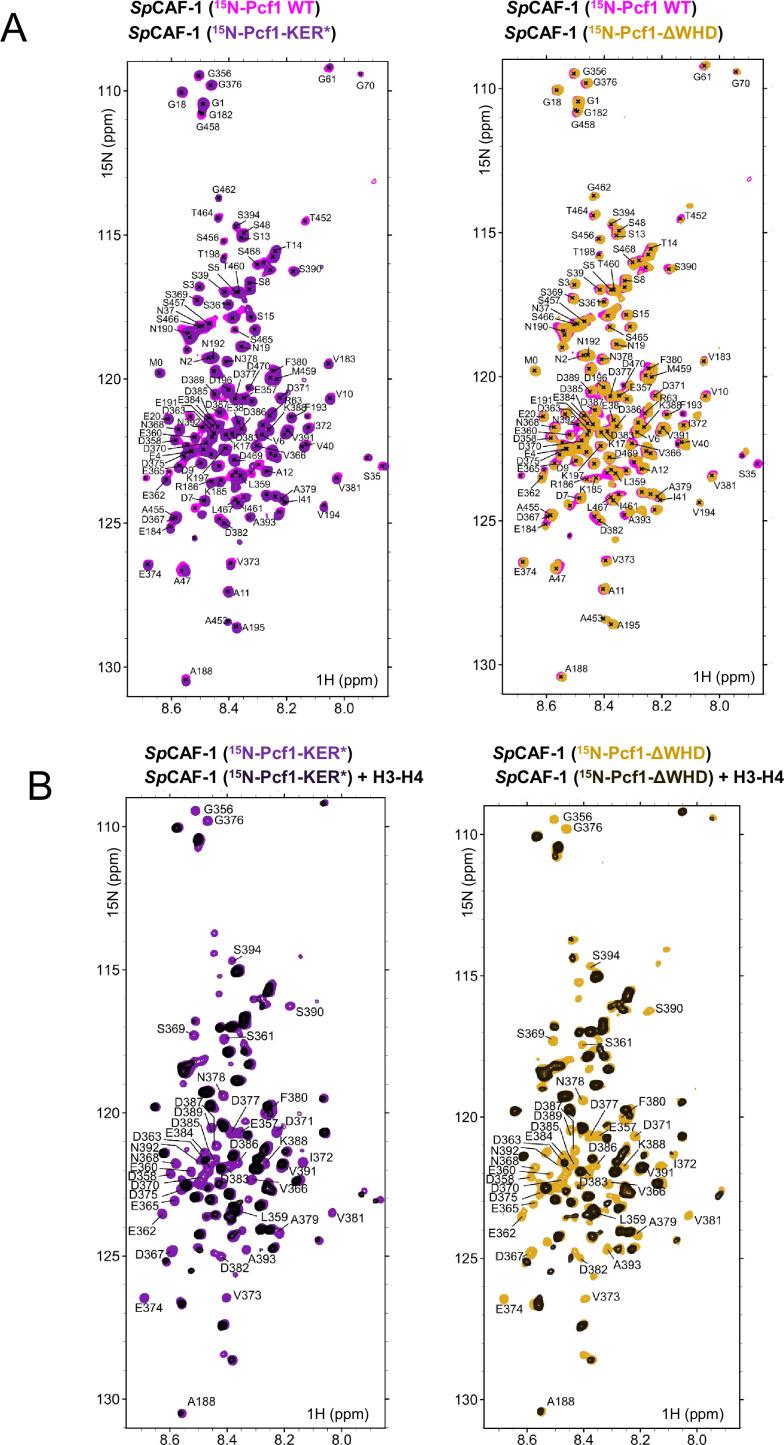 https://cdn.ncbi.nlm.nih.gov/pmc/blobs/819e/10942606/a817880d89d0/elife-91461-fig3-figsupp3.jpg