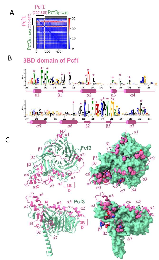 https://cdn.ncbi.nlm.nih.gov/pmc/blobs/819e/10942606/c373a57a639d/elife-91461-fig1-figsupp4.jpg