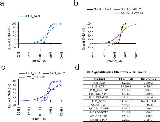 https://cdn.ncbi.nlm.nih.gov/pmc/blobs/819e/10942606/d08eecd875de/elife-91461-sa4-fig1.jpg
