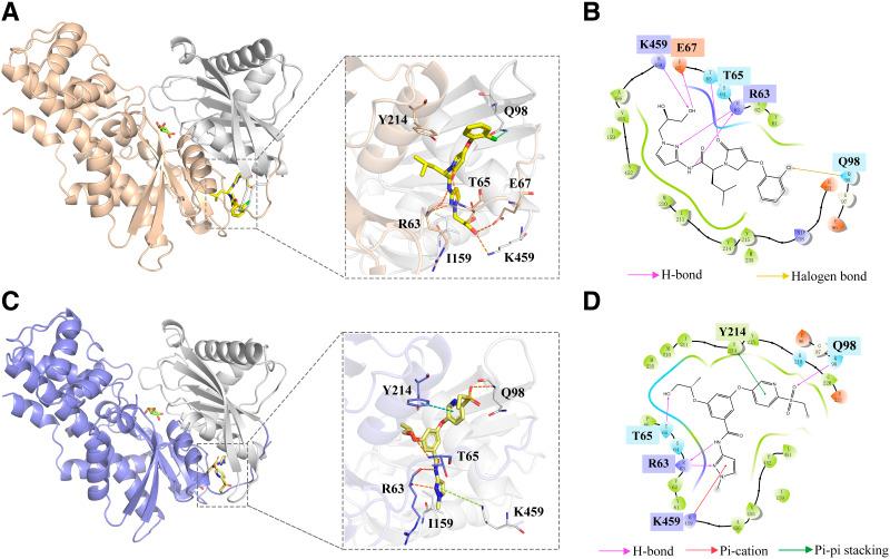 https://cdn.ncbi.nlm.nih.gov/pmc/blobs/819e/12278794/c8fe1733a33a/db250066f4.jpg