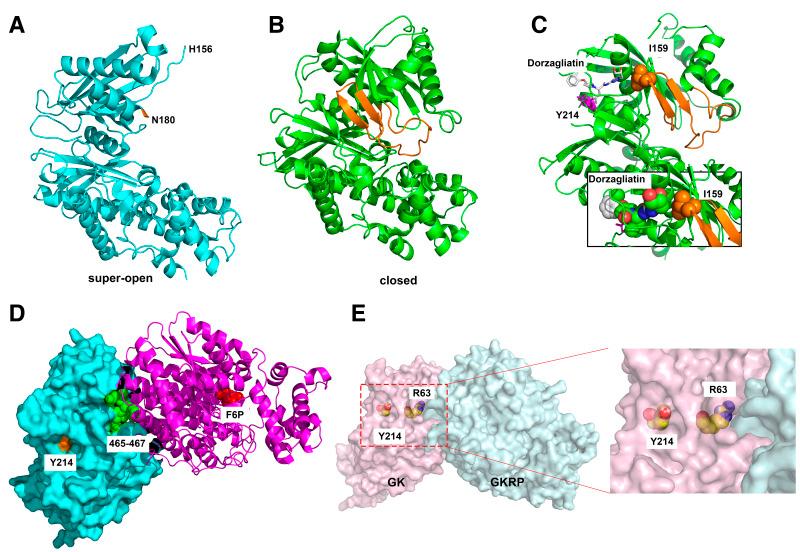 https://cdn.ncbi.nlm.nih.gov/pmc/blobs/819e/12278794/d34eb33fda1d/db250066f6.jpg