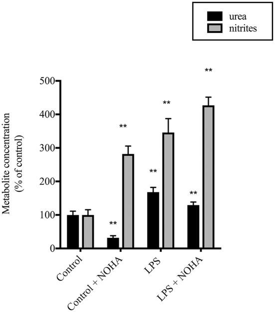 https://cdn.ncbi.nlm.nih.gov/pmc/blobs/819e/5331049/f04ae0364c21/fcell-05-00015-g0002.jpg