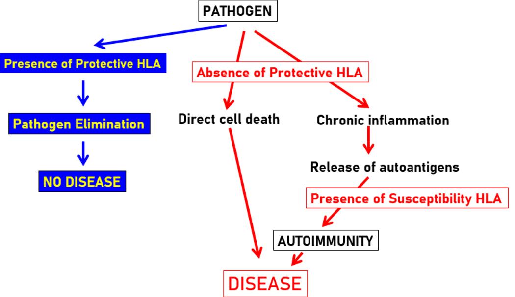 https://cdn.ncbi.nlm.nih.gov/pmc/blobs/819f/12077081/d7044de43151/nihms-2079215-f0008.jpg