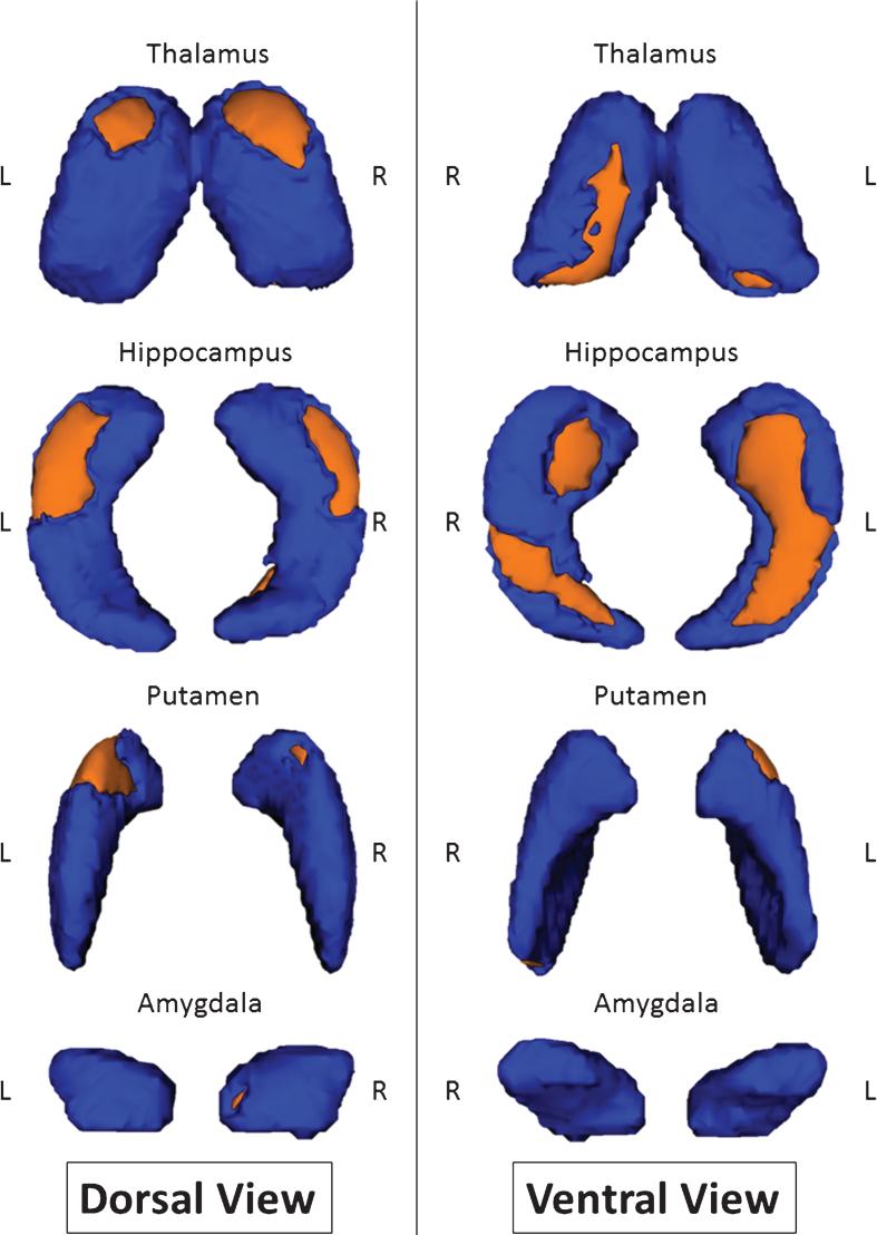 https://cdn.ncbi.nlm.nih.gov/pmc/blobs/819f/4927932/77091b099e71/jad-50-jad150353-g001.jpg