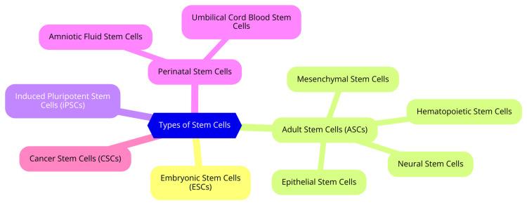 https://cdn.ncbi.nlm.nih.gov/pmc/blobs/81a2/11416137/80deb72cac24/cureus-0016-00000067506-i01.jpg