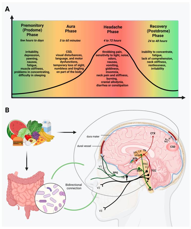 https://cdn.ncbi.nlm.nih.gov/pmc/blobs/81a4/10536453/543ecdab5588/neurolint-15-00073-g001.jpg