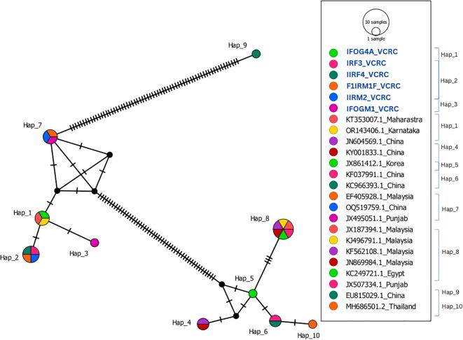 https://cdn.ncbi.nlm.nih.gov/pmc/blobs/81a4/12119495/ad558425ccfa/finsc-05-1551807-g004.jpg
