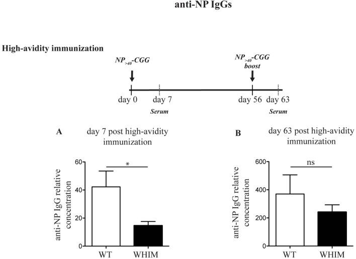 https://cdn.ncbi.nlm.nih.gov/pmc/blobs/81a6/5591327/2a87878440f2/fimmu-08-01068-g003a.jpg