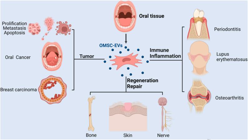 https://cdn.ncbi.nlm.nih.gov/pmc/blobs/81a8/10425856/247d0a36a96d/gr3.jpg