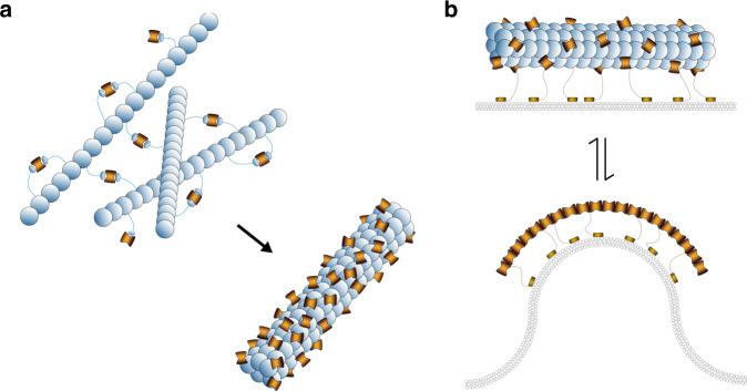 https://cdn.ncbi.nlm.nih.gov/pmc/blobs/81a9/7118173/a79678743a23/41467_2020_15490_Fig6_HTML.jpg