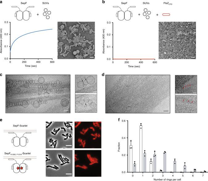 https://cdn.ncbi.nlm.nih.gov/pmc/blobs/81a9/7118173/aa5d0ff2a55d/41467_2020_15490_Fig5_HTML.jpg