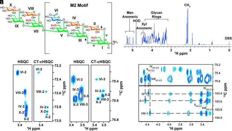 https://cdn.ncbi.nlm.nih.gov/pmc/blobs/81aa/10873606/6d0063591639/pnas.2315733121fig01.jpg