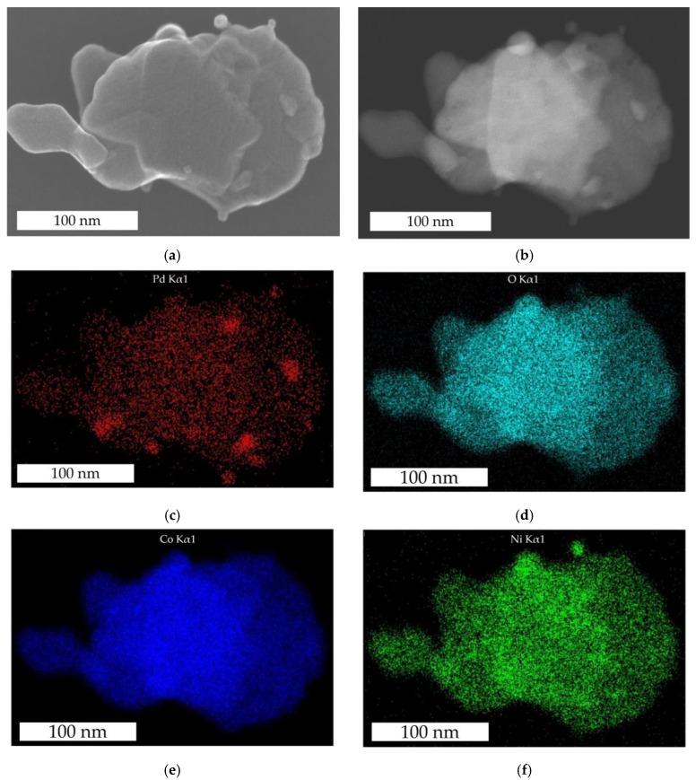 https://cdn.ncbi.nlm.nih.gov/pmc/blobs/81af/11510470/37d466b064ab/nanomaterials-14-01619-g003.jpg