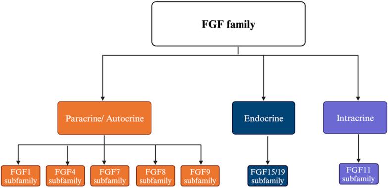 https://cdn.ncbi.nlm.nih.gov/pmc/blobs/81af/11720651/62700b669baa/cancers-17-00082-g001.jpg
