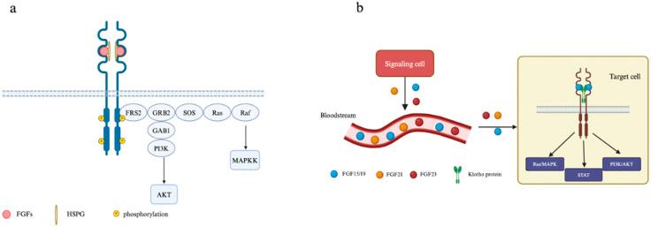 https://cdn.ncbi.nlm.nih.gov/pmc/blobs/81af/11720651/cae26831804a/cancers-17-00082-g003.jpg
