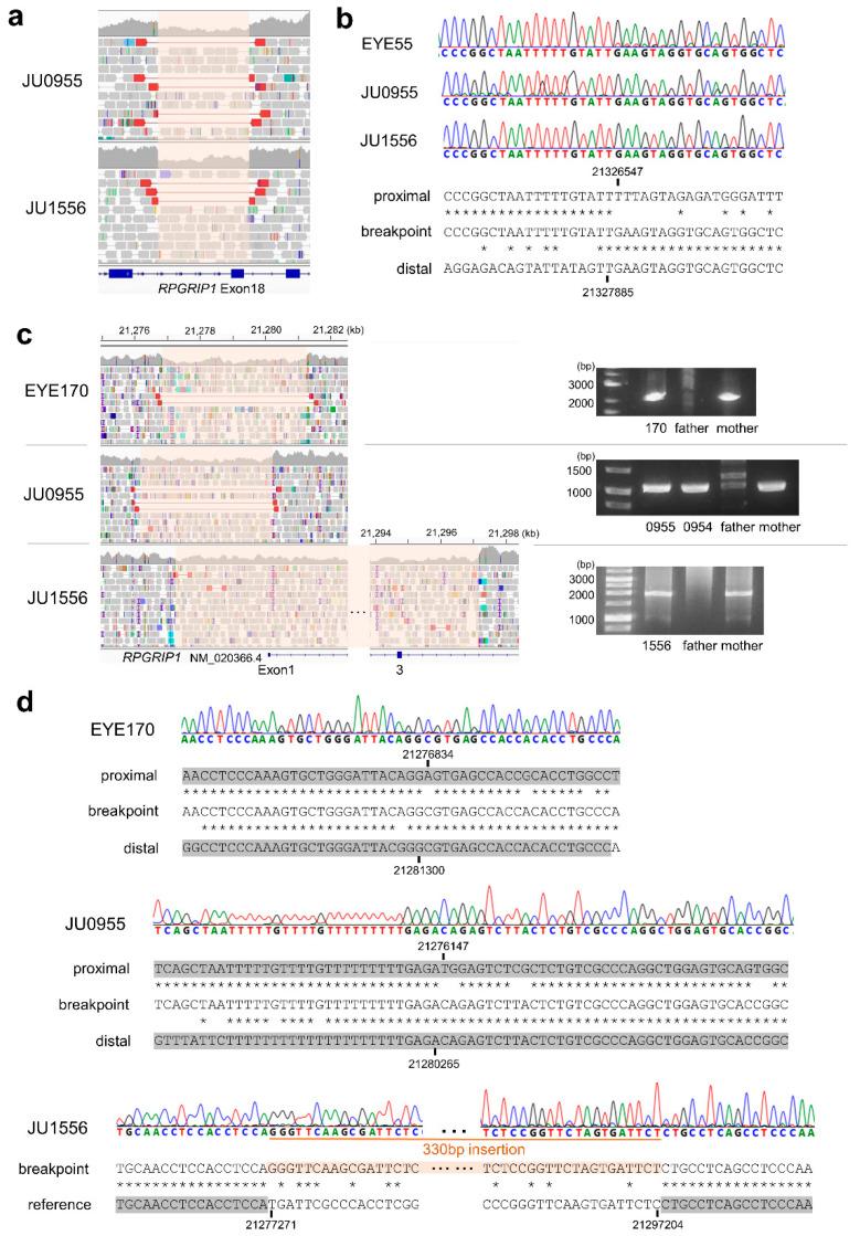 https://cdn.ncbi.nlm.nih.gov/pmc/blobs/81b2/10531429/e4d29a3f8e95/ijms-24-13678-g002.jpg