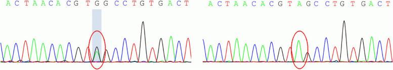 https://cdn.ncbi.nlm.nih.gov/pmc/blobs/81b4/10829211/405671e3cb7e/12920_2024_1819_Fig3_HTML.jpg