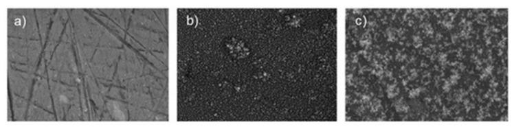https://cdn.ncbi.nlm.nih.gov/pmc/blobs/81b4/9031789/6c9100c93fe8/nanomaterials-12-01323-g003.jpg