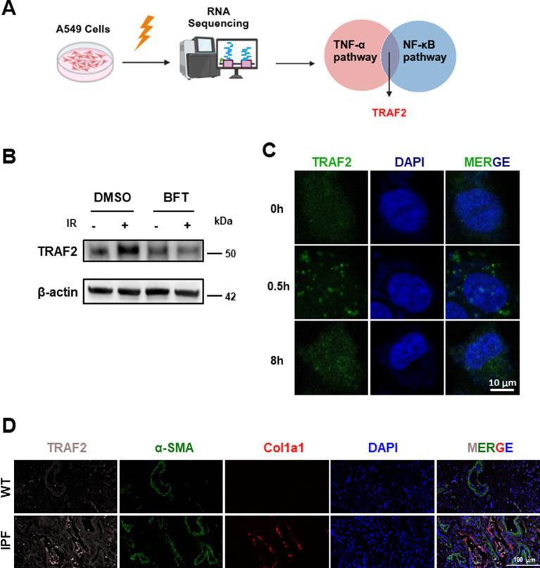 https://cdn.ncbi.nlm.nih.gov/pmc/blobs/81b7/12116375/1f71f1a0d525/fpubh-13-1582860-g001.jpg