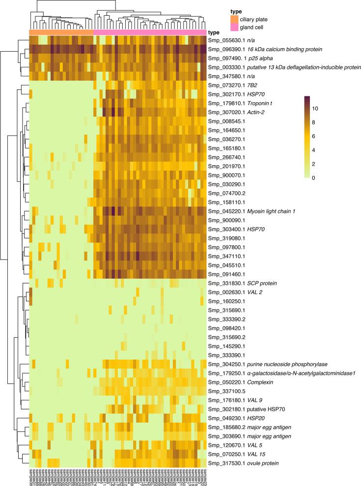 https://cdn.ncbi.nlm.nih.gov/pmc/blobs/81b8/11349301/c27126a49257/elife-95628-fig3-figsupp6.jpg
