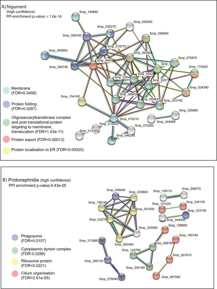 https://cdn.ncbi.nlm.nih.gov/pmc/blobs/81b8/11349301/d305ee7ae5f9/elife-95628-fig4-figsupp1.jpg