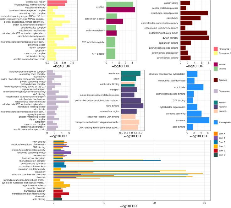 https://cdn.ncbi.nlm.nih.gov/pmc/blobs/81b8/11349301/ea254c2f88b7/elife-95628-fig4-figsupp3.jpg