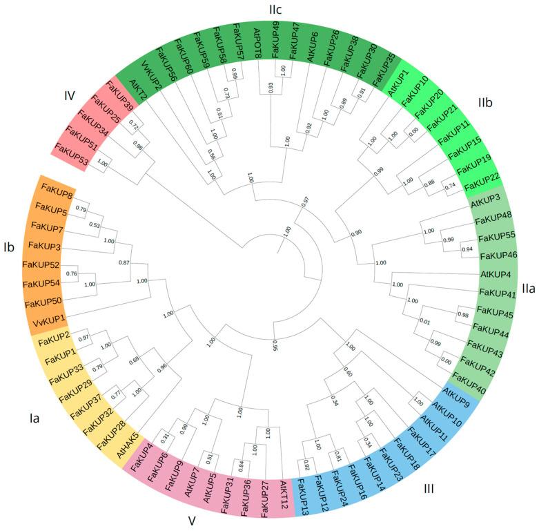 https://cdn.ncbi.nlm.nih.gov/pmc/blobs/81b8/12300644/1fc732b8507b/plants-14-02241-g002.jpg