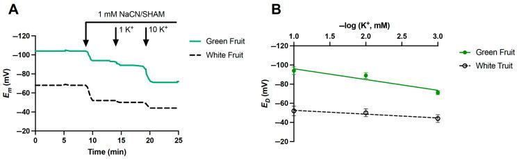 https://cdn.ncbi.nlm.nih.gov/pmc/blobs/81b8/12300644/ce26b82ac258/plants-14-02241-g005.jpg