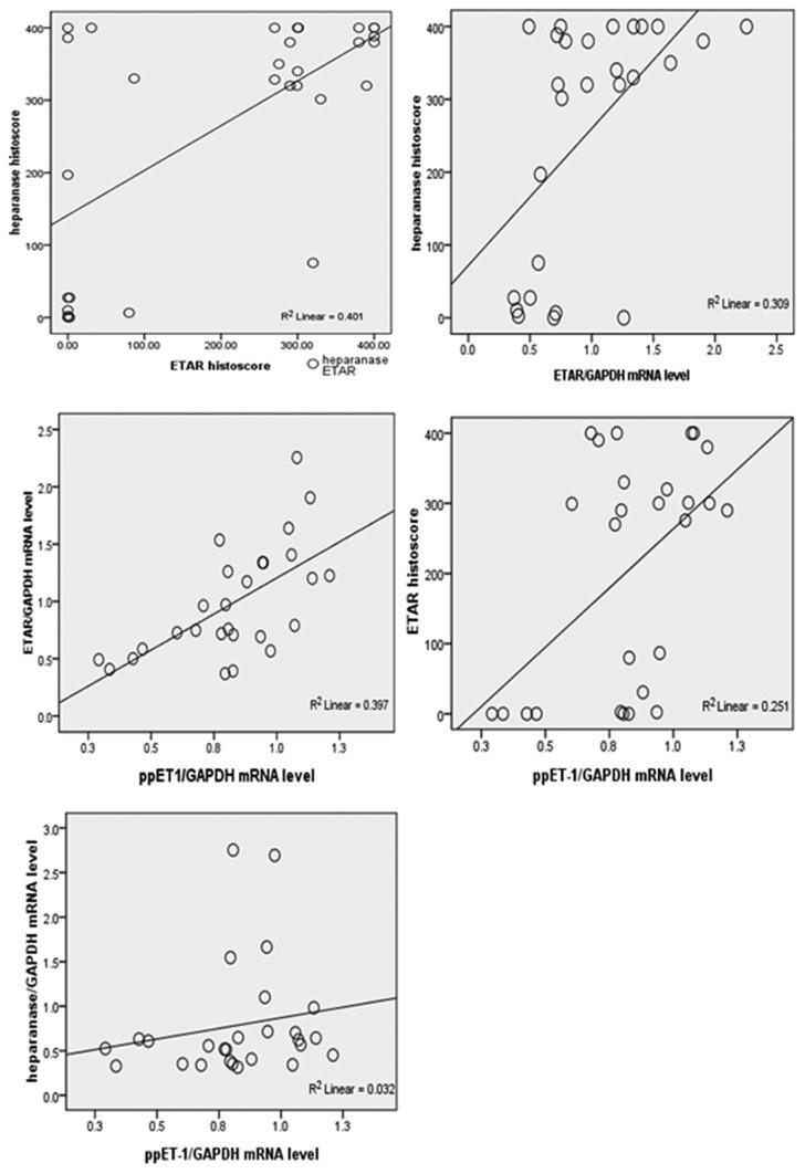 https://cdn.ncbi.nlm.nih.gov/pmc/blobs/81b8/5993895/c12bae7868b1/IJMS-43-286-g004.jpg