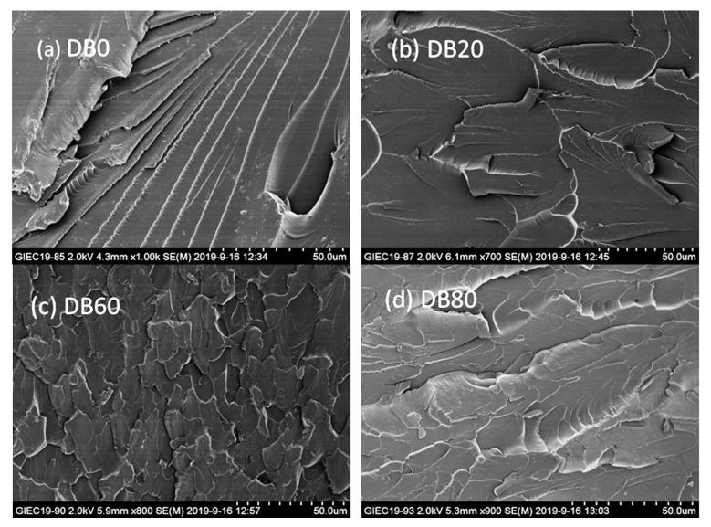 https://cdn.ncbi.nlm.nih.gov/pmc/blobs/81ba/7957740/24b852c9d2c7/polymers-13-00750-g005.jpg
