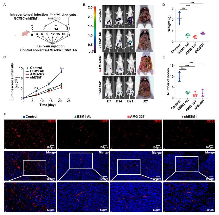 https://cdn.ncbi.nlm.nih.gov/pmc/blobs/81be/10778290/2f0d96880909/cancers-16-00194-g006.jpg