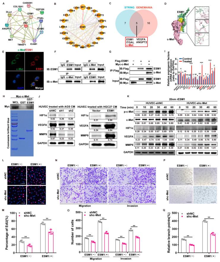 https://cdn.ncbi.nlm.nih.gov/pmc/blobs/81be/10778290/74416fa318dc/cancers-16-00194-g004.jpg