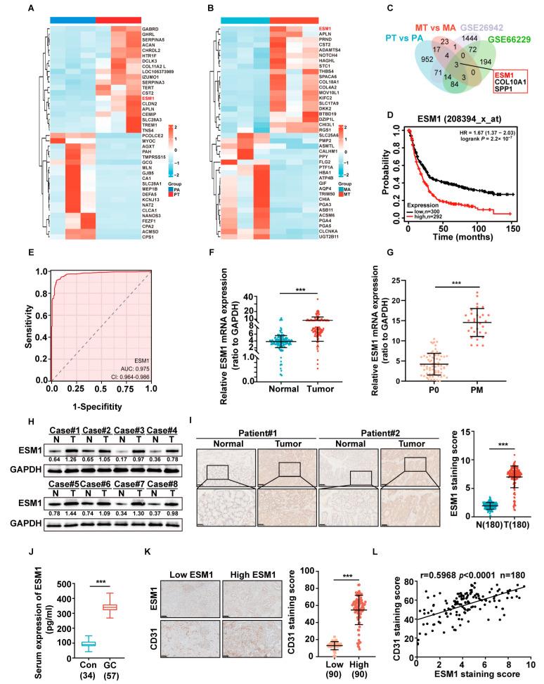 https://cdn.ncbi.nlm.nih.gov/pmc/blobs/81be/10778290/b29fd97fa726/cancers-16-00194-g001.jpg