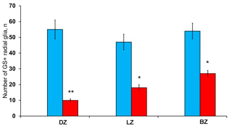 https://cdn.ncbi.nlm.nih.gov/pmc/blobs/81bf/7766854/e43d834e69f4/ijms-21-09638-g015.jpg