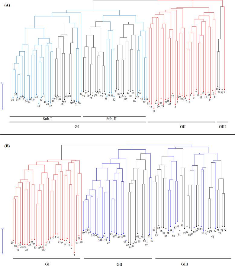 https://cdn.ncbi.nlm.nih.gov/pmc/blobs/81c0/8046865/ebe8a634f787/43141_2021_157_Fig2_HTML.jpg
